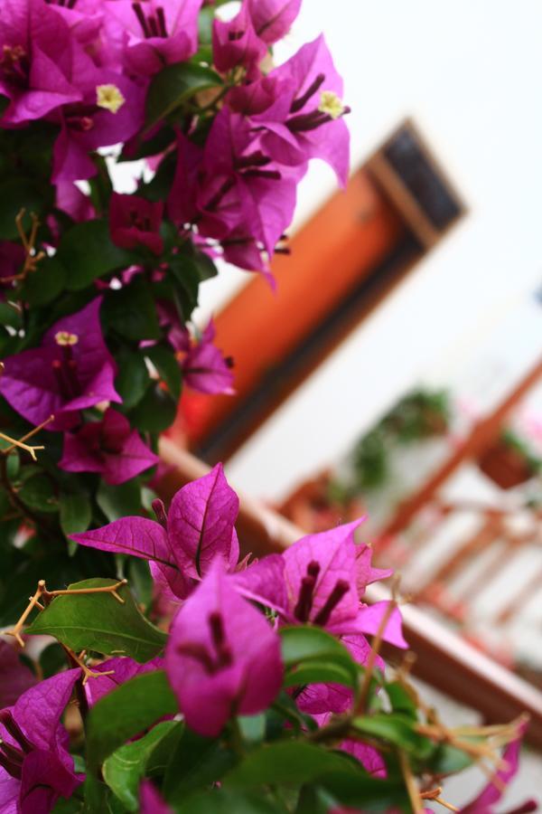 Amaru Hotel Huaraz Экстерьер фото